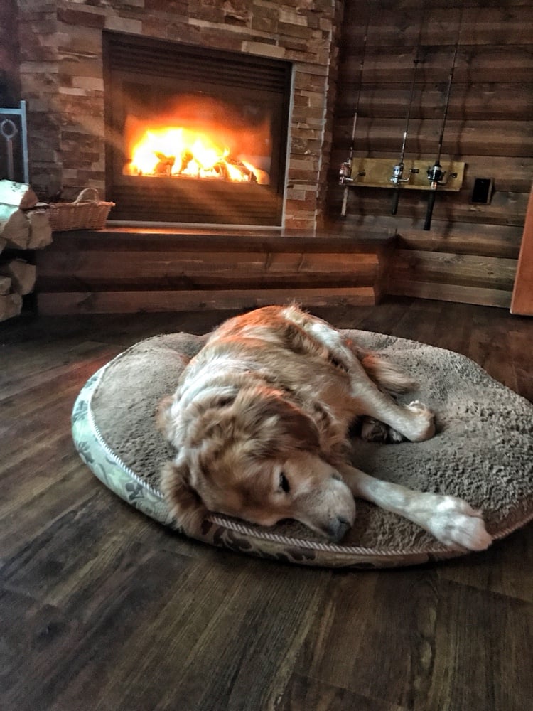A dog napping on a pillow by the fire.