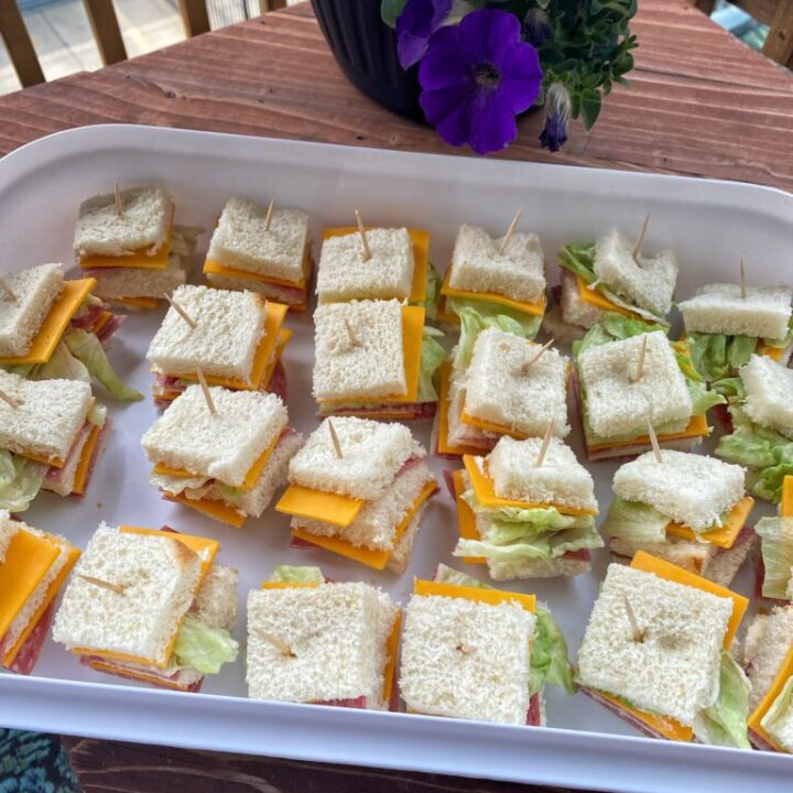 Salami and cheddar beach snacks