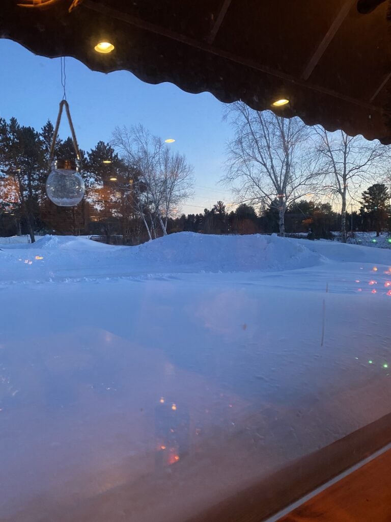 A view through a window, showing a snow covered exterior