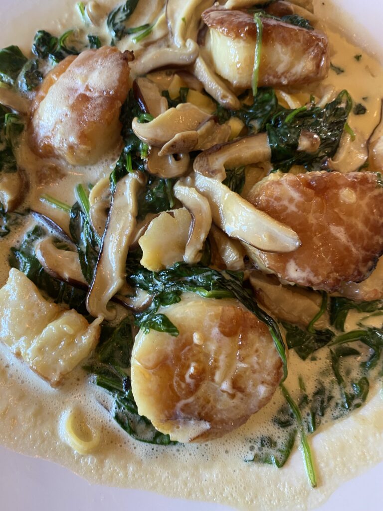 Scallops pernod