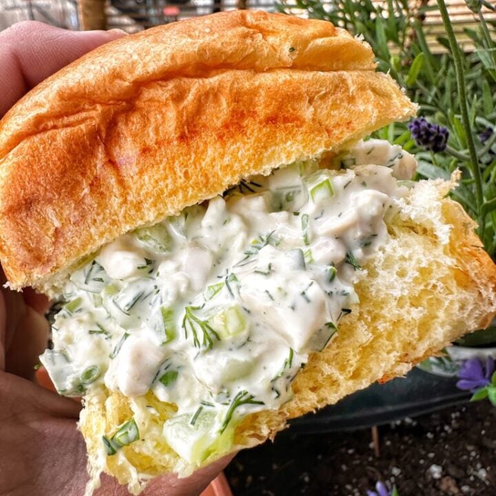 Delicious Chicken Salad on a roll