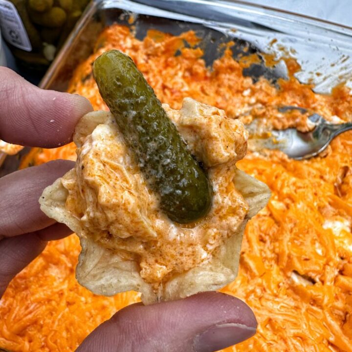 Buffalo Chicken Dip