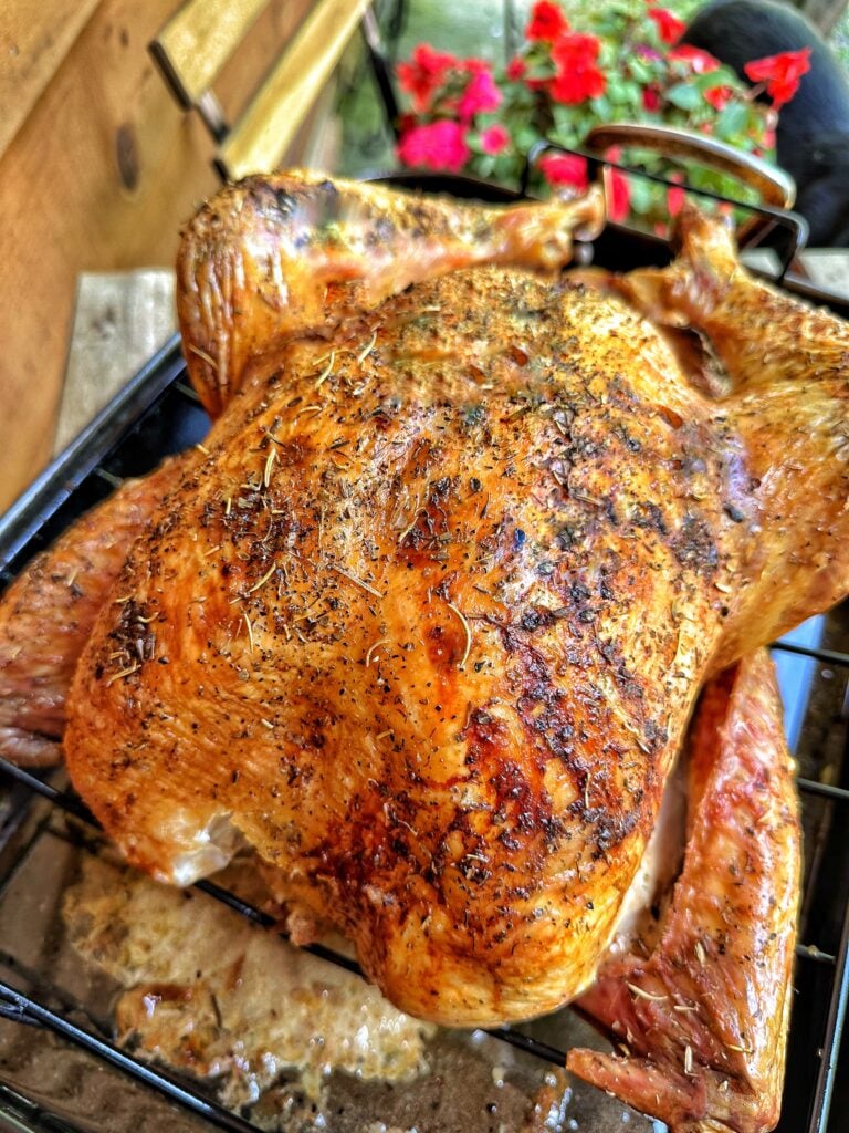 A cooked, seasoned whole turkey