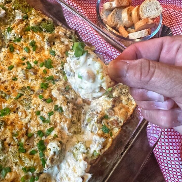 Creamy Broccoli Cheese Dip
