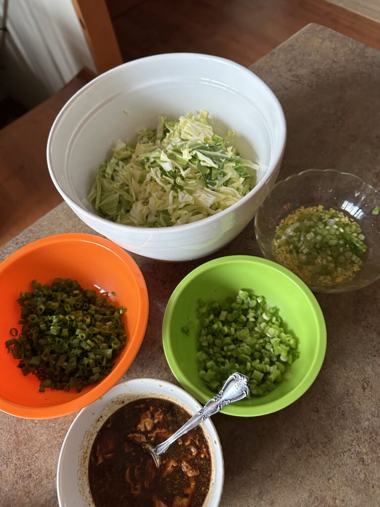 Egg roll ingredients spaced out into different bowls