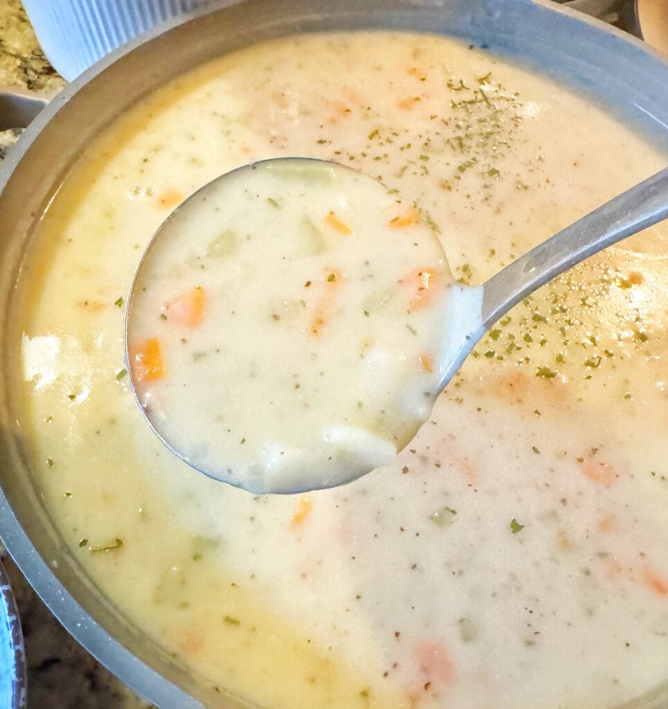 A ladle of soup