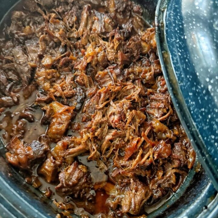 Sweet and Tangy Shredded Beef