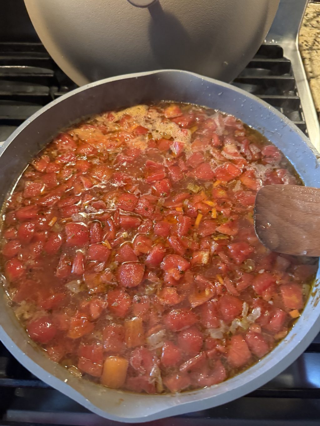 Soup pot filled with tomato chunks, carrot pieces and seasonings
