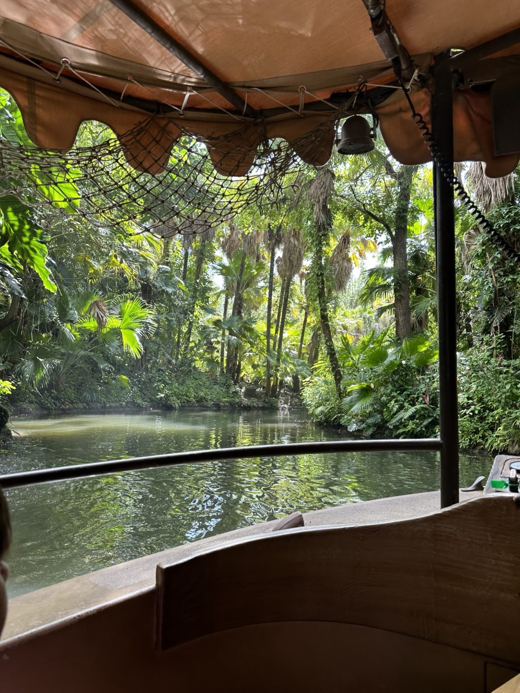 A picture taken from the Jungle Cruise boat of the river with jungle trees all around