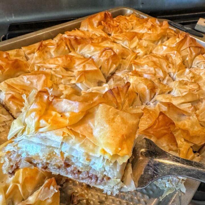 Cheeseburger Spring Roll Squares Recipe