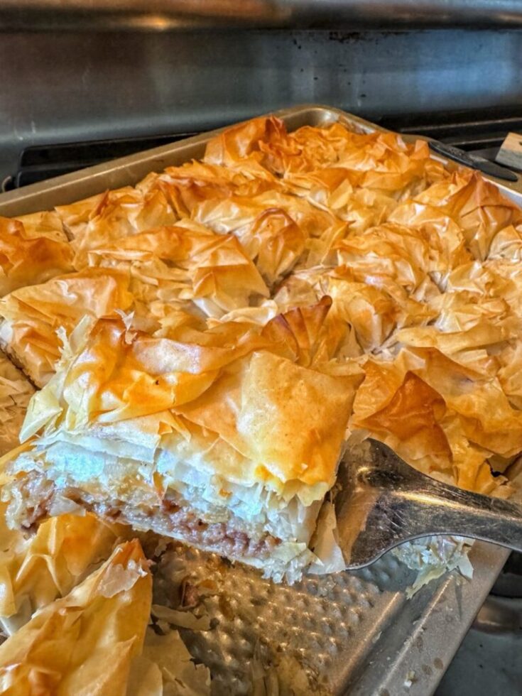 Cheeseburger Spring Roll Squares Recipe