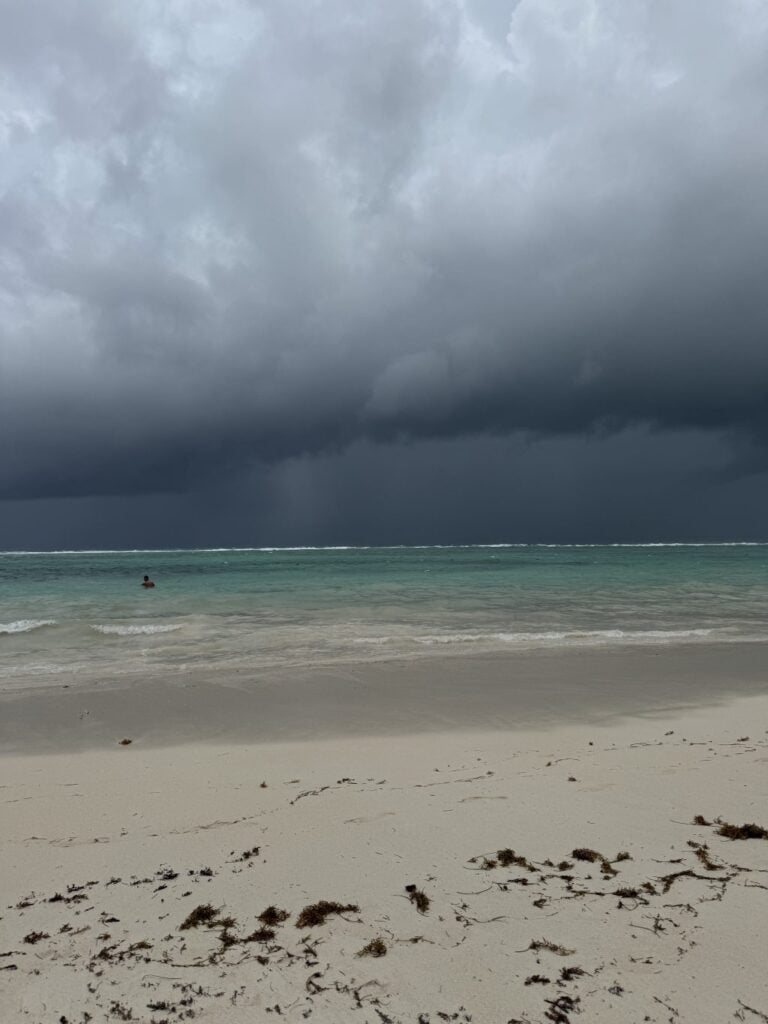A beach with dark clouds over the horizon and some seaweed on the shore.
