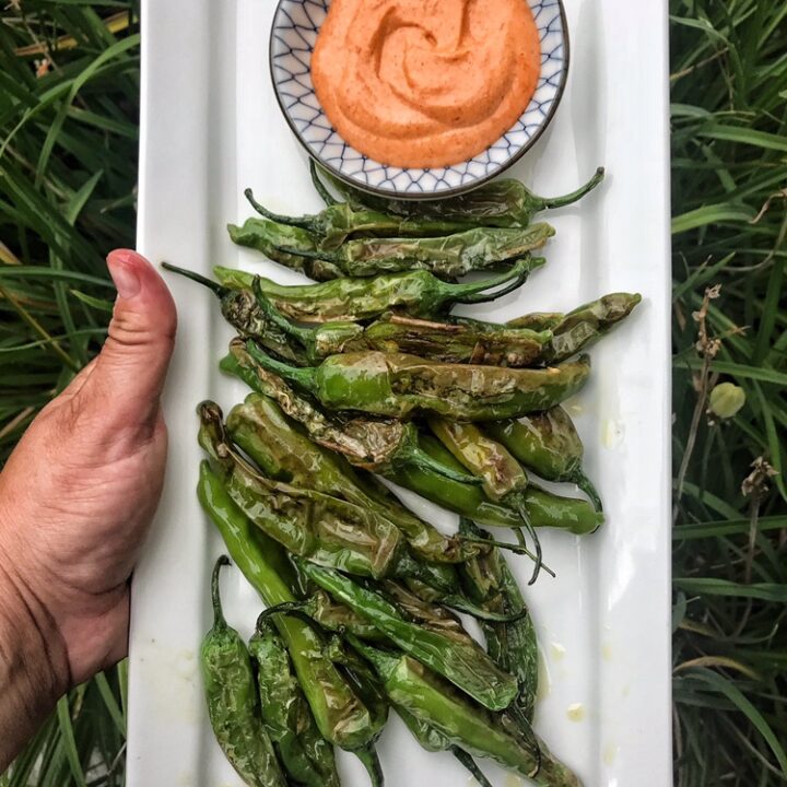 Shishito Peppers with spicy aioli.