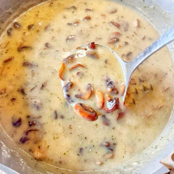 A ladle of delicious mushroom sauce