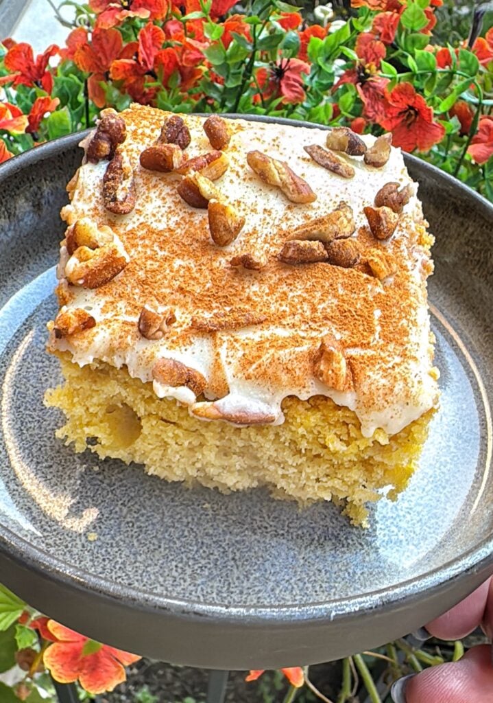 Pumpkin Pecan Cake with Cinnamon Cream Cheese Icing