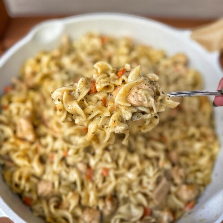 Chicken Noodle Soup Pasta