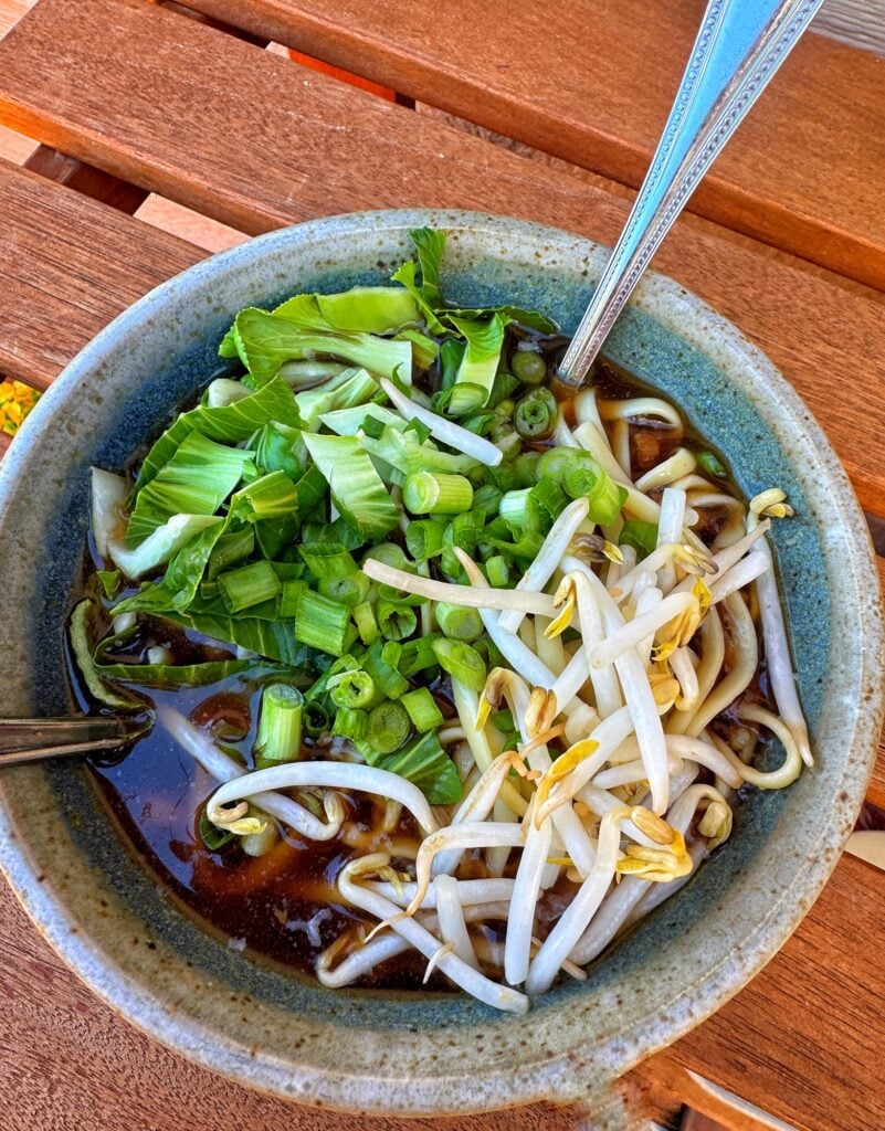Asian Beef Noodle Soup