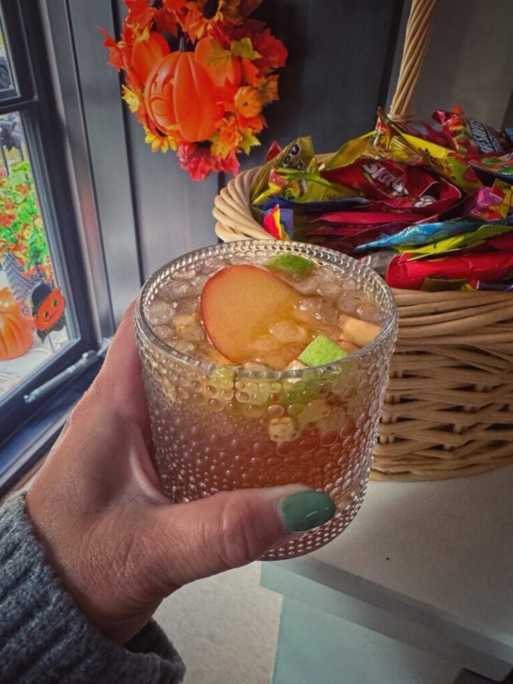 Apple Cider Old Fashioned Cocktail