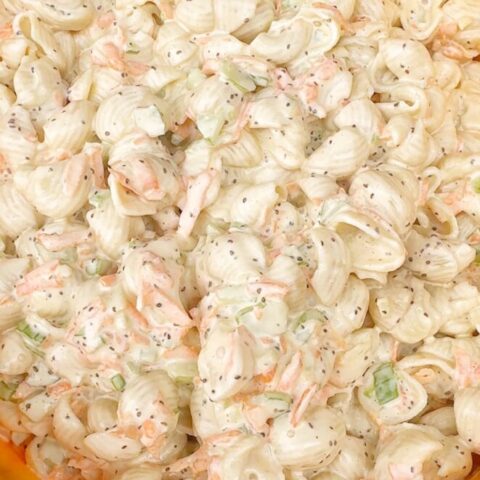 Creamy Shell Pasta Salad