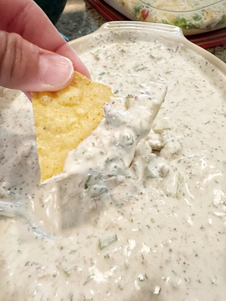 A chip in the burnt ends dip