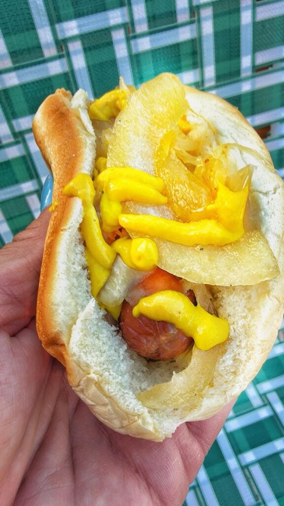 A close up of the hot dog topped with mustard, onion, and sauerkraut