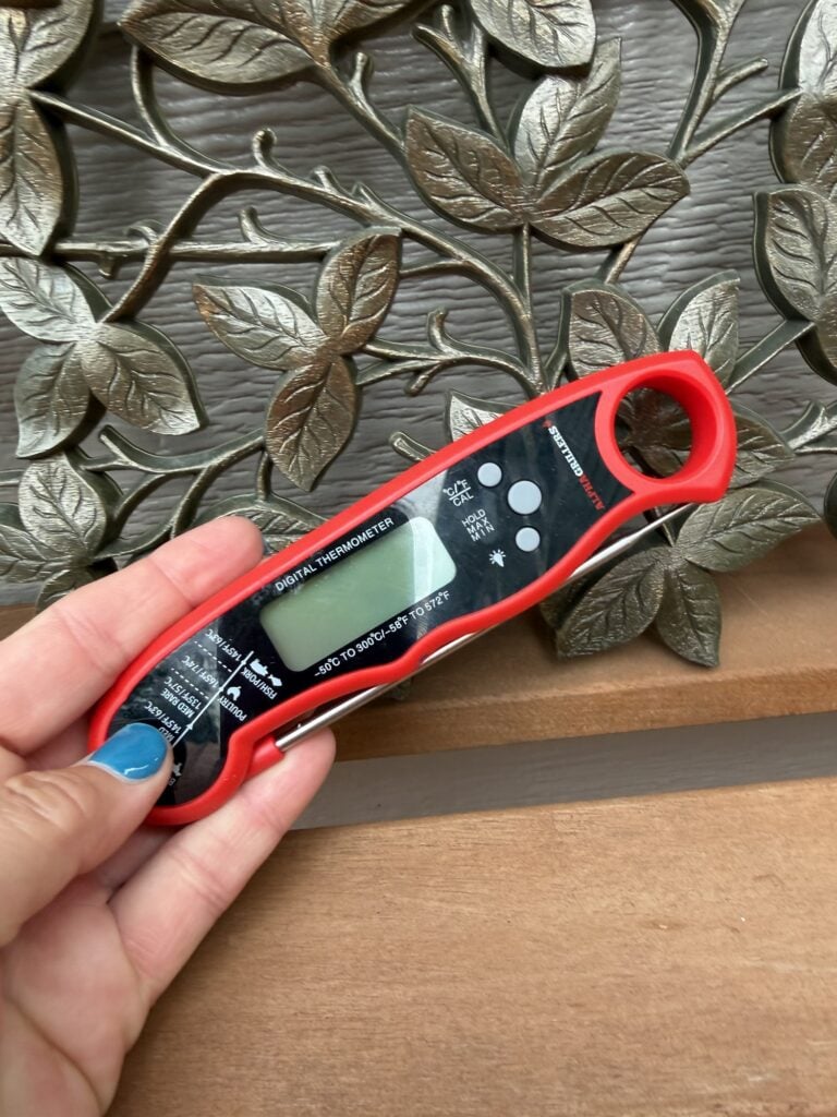 Oven thermometer used to check oven temperature before cooking a holiday rib roast.