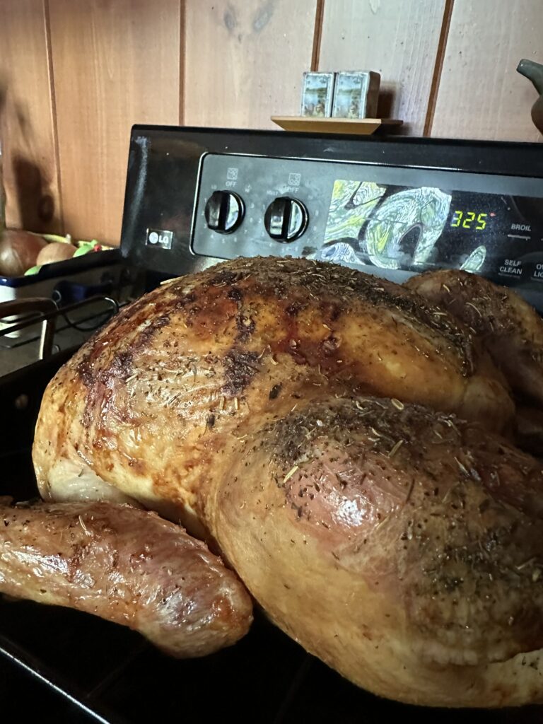 Roasted thanksgiving turkey