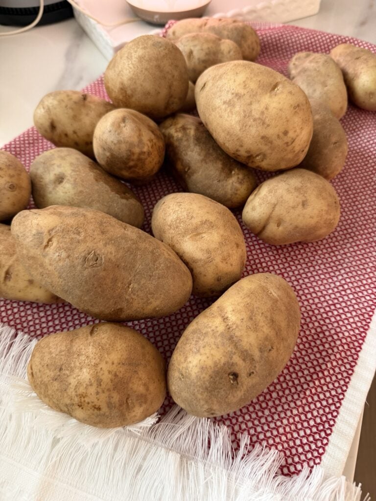Large russet potatoes for making Thanksgiving Stuffed Potatoes