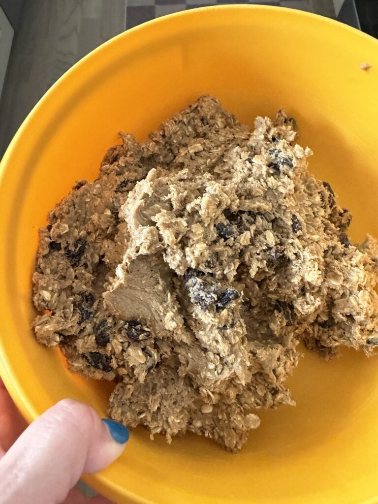 oatmeal raisin cookie dough in a bowl to be chilled overnight