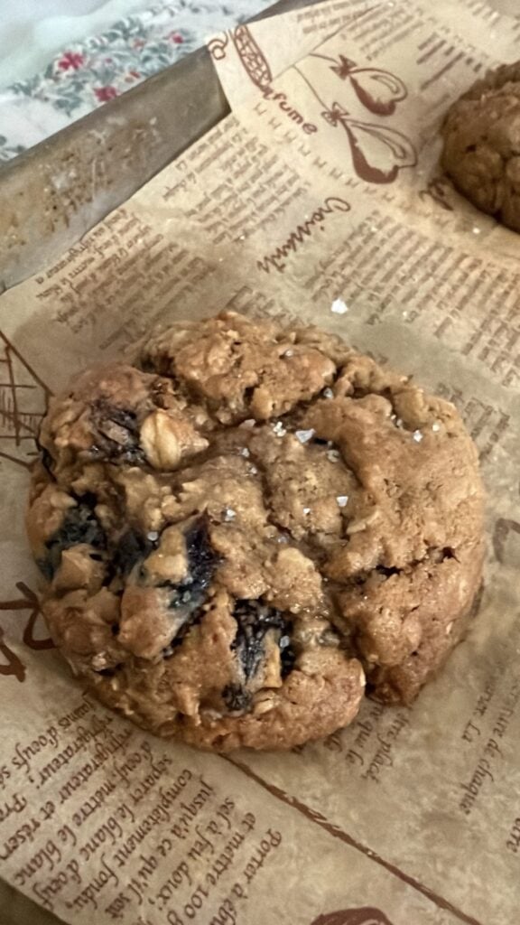 a perfectly rounded oatmeal raisin cookie