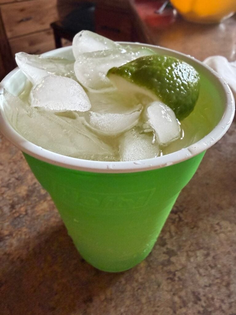 The Tipsy Housewife House Margarita