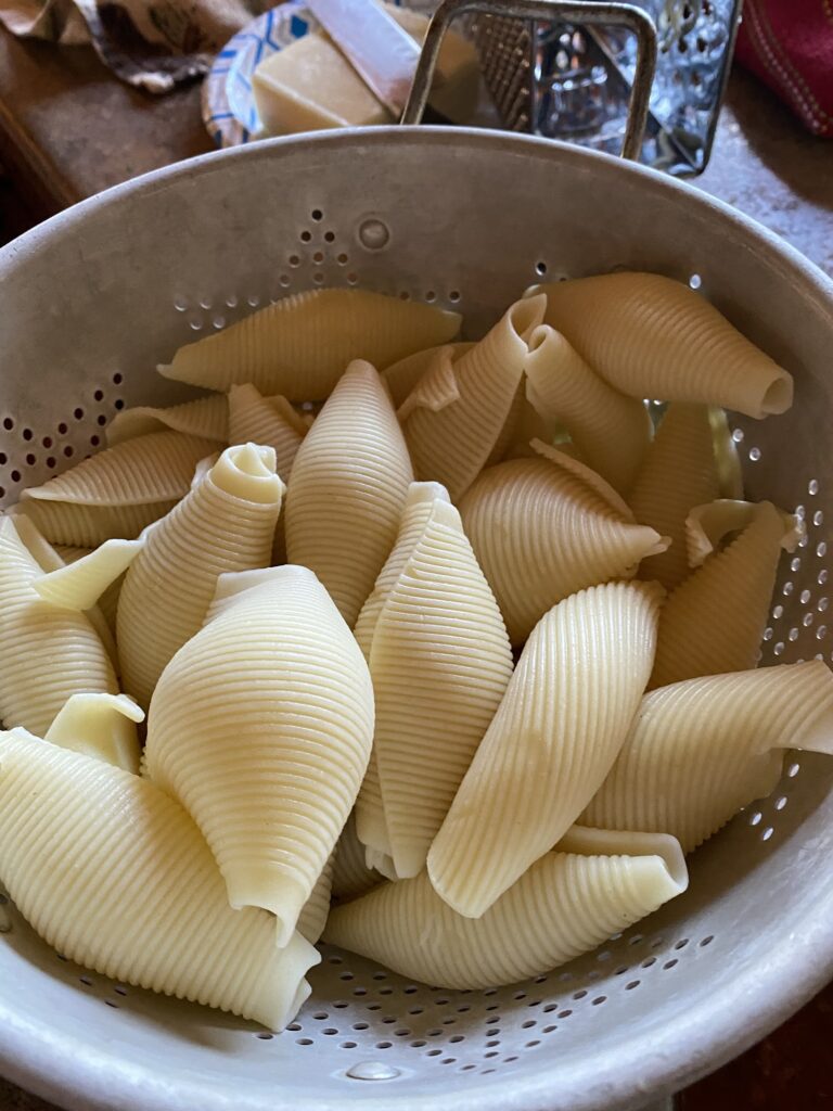 Jumbo pasta shells prepared for filling with cottage cheese mixture